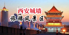 男人大鸡巴插女人粉嫩小骚逼视频中国陕西-西安城墙旅游风景区
